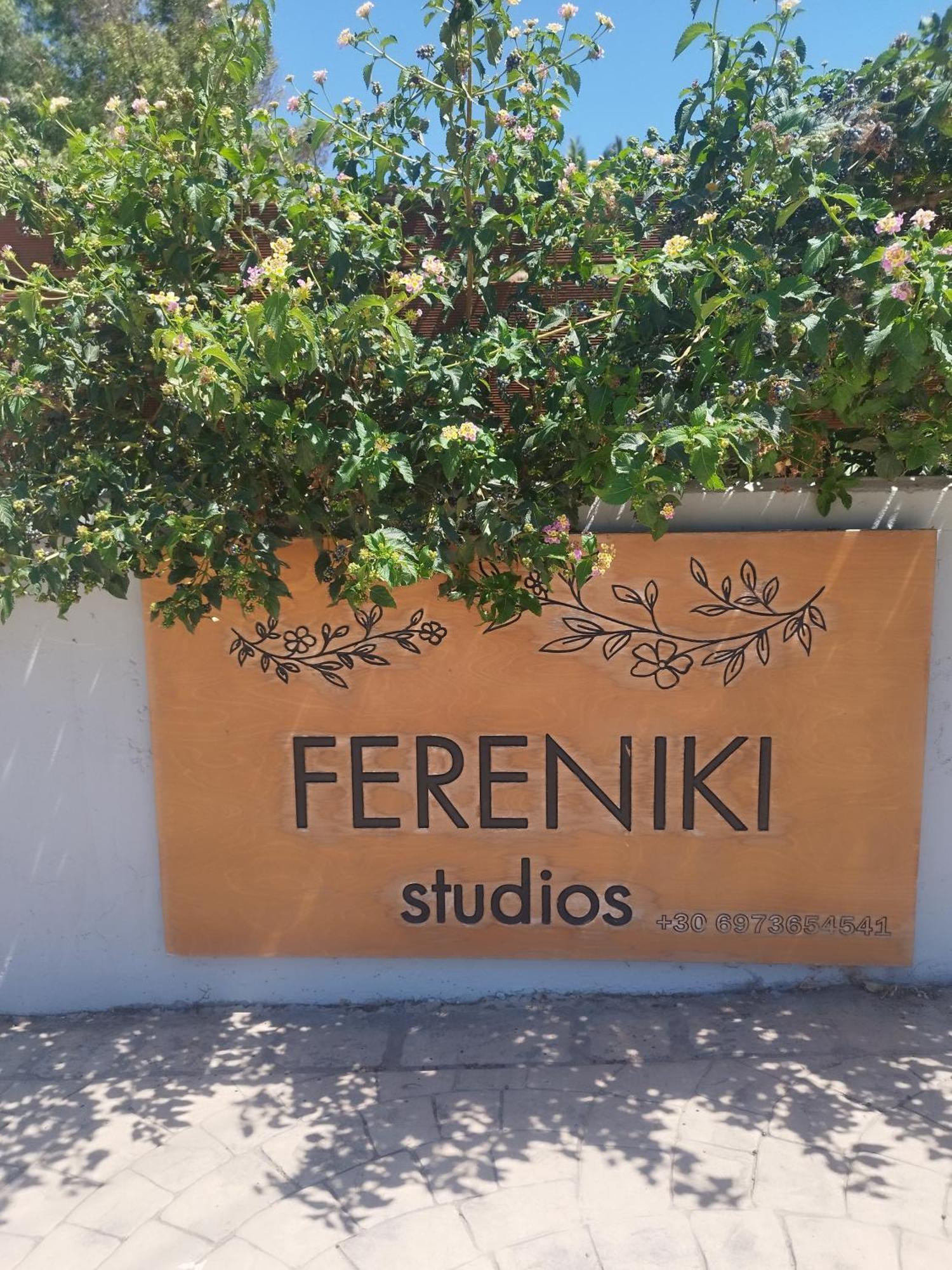 Fereniki Studios Plati  Esterno foto